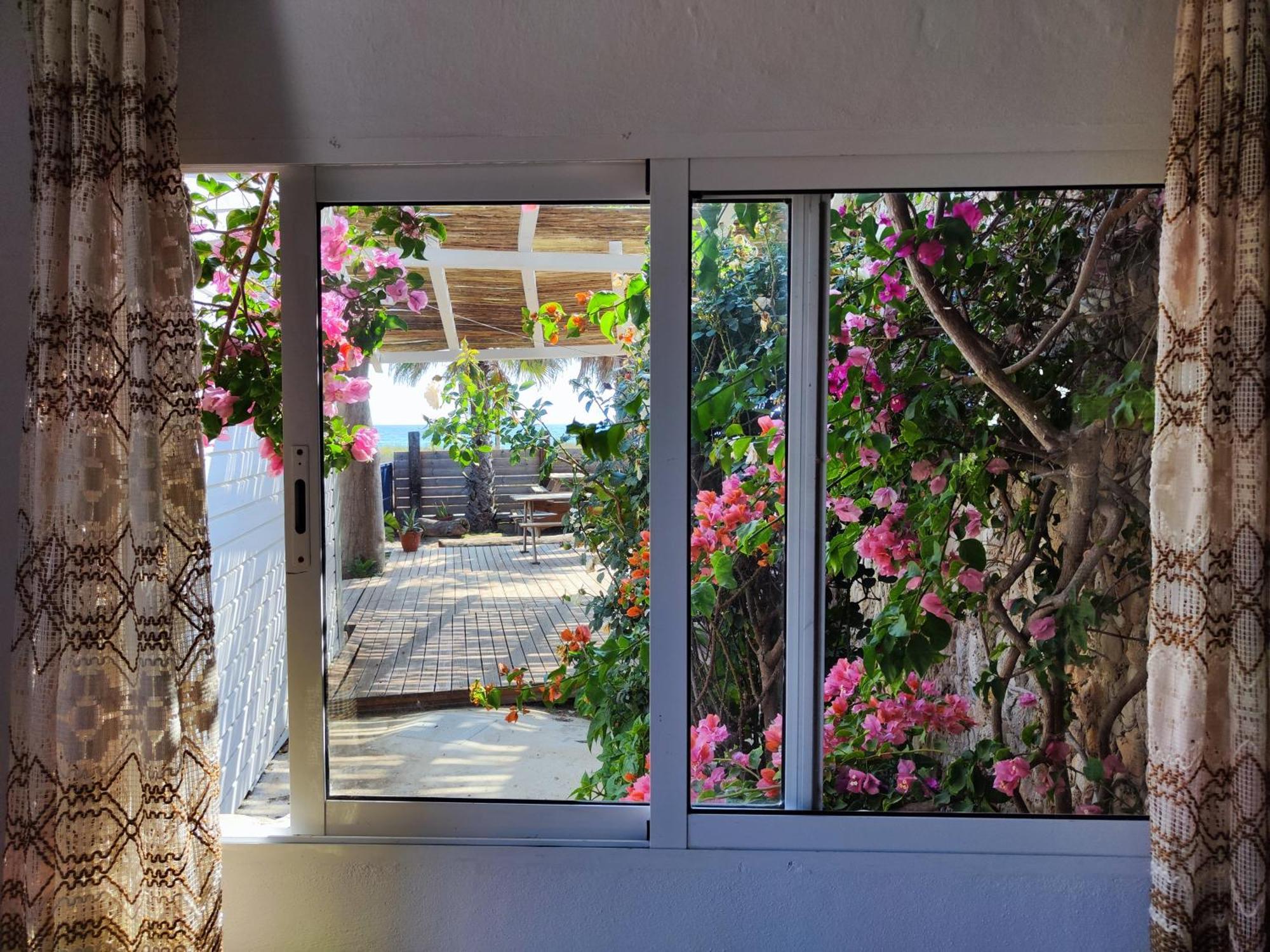 La Casa De Piedra A Orillas Del Mar 베예데라프론테라 외부 사진